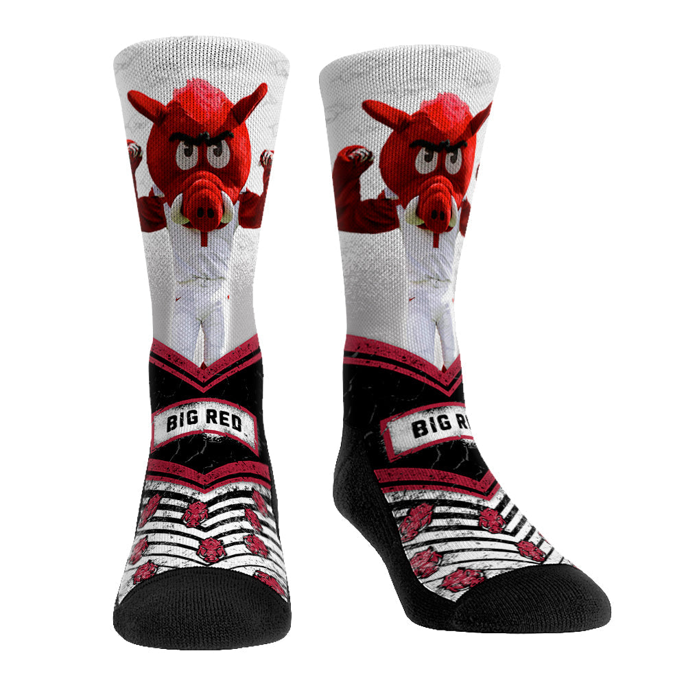 Arkansas Razorbacks - Mascot Walkout